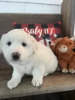 processed/1ef10aef-3037-4774-bc28-5b9e7ad7e6cb/listing/26a0e2d7-7622-496f-a8ca-98f227fb26ac/50f2b84e-afbc-473e-972e-02884de453c7