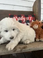 processed/1ef10aef-3037-4774-bc28-5b9e7ad7e6cb/listing/26a0e2d7-7622-496f-a8ca-98f227fb26ac/515891e8-0e2b-45dc-a10a-134075151b6d