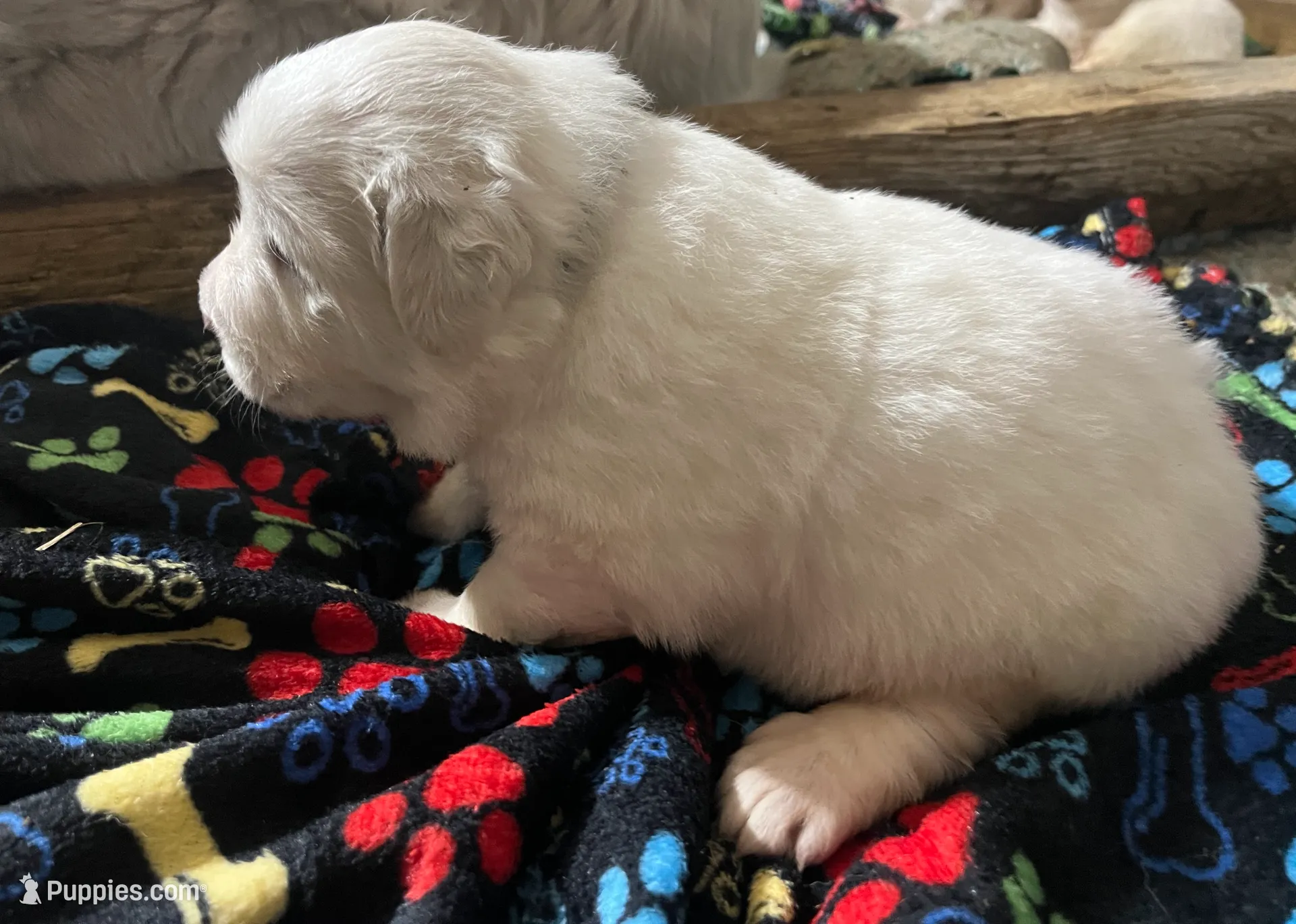 processed/1ef10aef-3037-4774-bc28-5b9e7ad7e6cb/listing/26a0e2d7-7622-496f-a8ca-98f227fb26ac/ceb3c614-0483-4d39-b90e-55e8b8440fa4