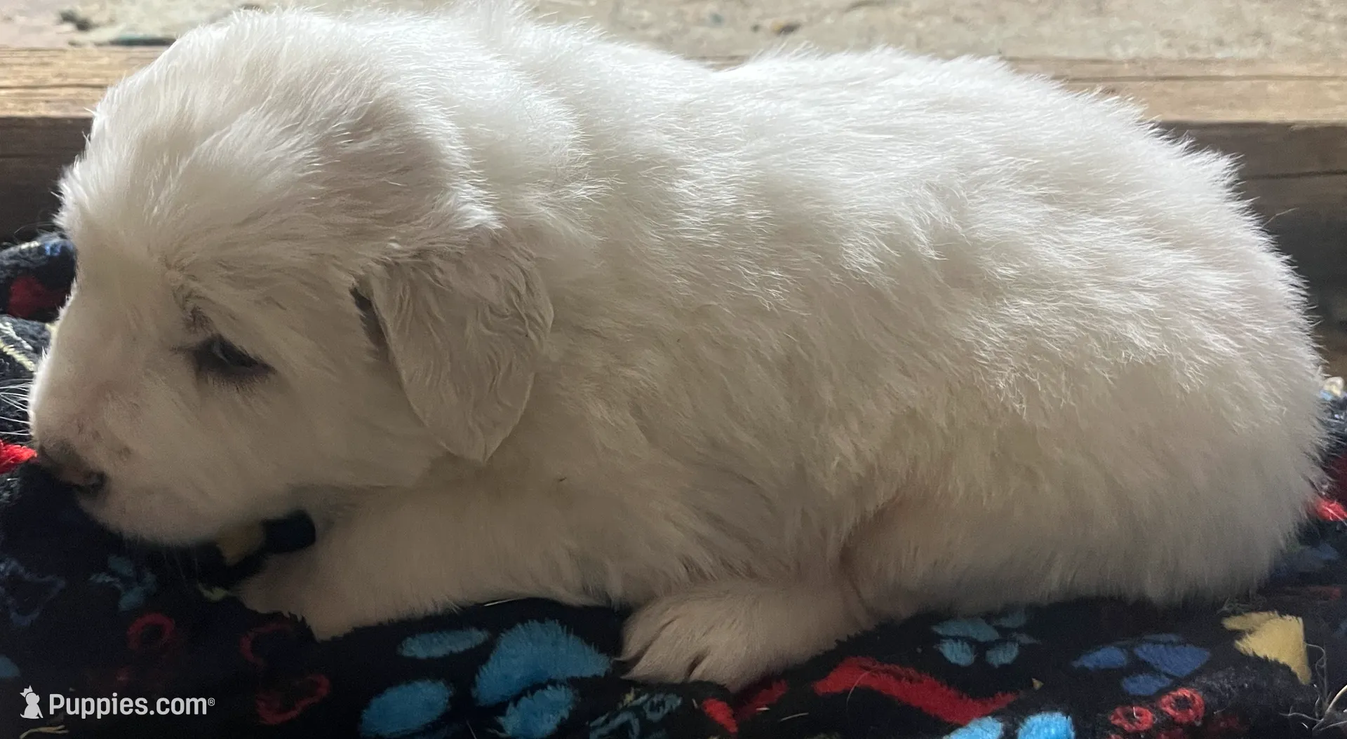 processed/1ef10aef-3037-4774-bc28-5b9e7ad7e6cb/listing/26a0e2d7-7622-496f-a8ca-98f227fb26ac/f3cdf45e-c87b-41de-ba5f-47c8e0fe0791