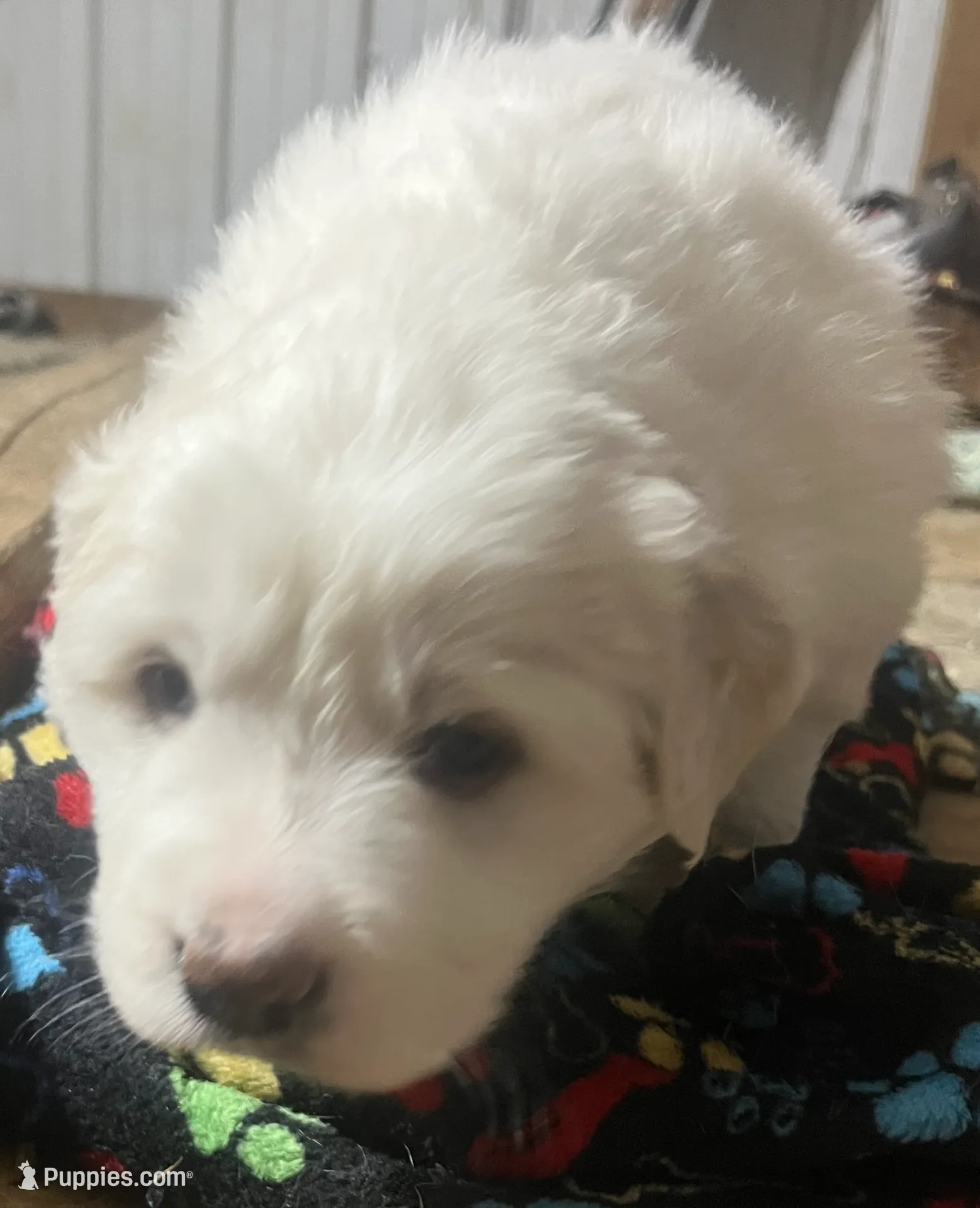 processed/1ef10aef-3037-4774-bc28-5b9e7ad7e6cb/listing/a39eb308-521f-4a31-bc8c-0aaff92031ba/8af567f4-c034-472f-85b0-cd52cb158a81