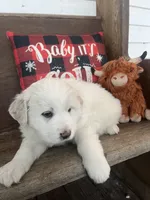 processed/1ef10aef-3037-4774-bc28-5b9e7ad7e6cb/listing/a39eb308-521f-4a31-bc8c-0aaff92031ba/94c9f0ee-12ba-4327-aed8-a3b9ca5a8d45