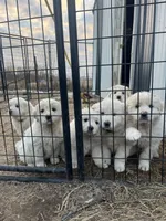 processed/1ef10aef-3037-4774-bc28-5b9e7ad7e6cb/listing/a39eb308-521f-4a31-bc8c-0aaff92031ba/9681bdf7-badd-46b7-990c-b352eef7eaec