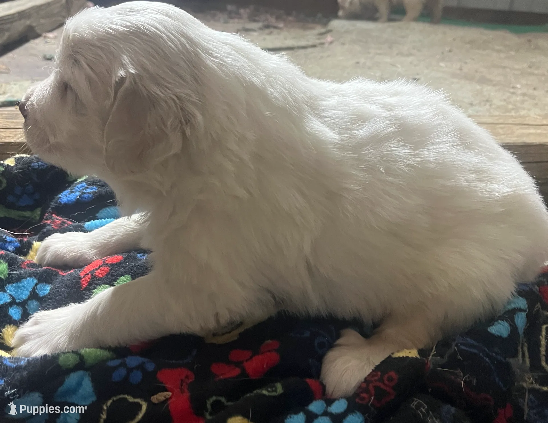 processed/1ef10aef-3037-4774-bc28-5b9e7ad7e6cb/listing/a39eb308-521f-4a31-bc8c-0aaff92031ba/c4a982d0-c740-4fc1-a5ef-6c465bde10b7