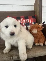 processed/1ef10aef-3037-4774-bc28-5b9e7ad7e6cb/listing/a39eb308-521f-4a31-bc8c-0aaff92031ba/d158e0d2-cb5f-47cb-bc28-47eadb612c65