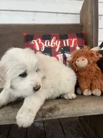 processed/1ef10aef-3037-4774-bc28-5b9e7ad7e6cb/listing/a39eb308-521f-4a31-bc8c-0aaff92031ba/e69e781a-9618-4342-9dbe-85210d14083f