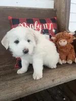 processed/1ef10aef-3037-4774-bc28-5b9e7ad7e6cb/listing/a39eb308-521f-4a31-bc8c-0aaff92031ba/eea3e943-d1b1-44ad-954b-7cb900f28524