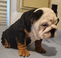 processed/1efbf182-3bc8-4af9-ad16-d6ec3a690af6/listing/93151e87-c078-4753-a90f-d528f463eea7/7a39d3bf-2795-4f27-93d2-c2a84d6b294f