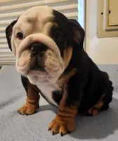 processed/1efbf182-3bc8-4af9-ad16-d6ec3a690af6/listing/93151e87-c078-4753-a90f-d528f463eea7/a7cc4019-b9b3-46fb-b001-59dd4edf21de