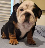 processed/1efbf182-3bc8-4af9-ad16-d6ec3a690af6/listing/93151e87-c078-4753-a90f-d528f463eea7/f713bf4b-c14f-4511-9814-a134a1e983b2