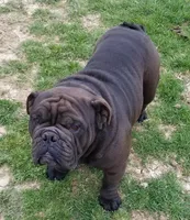 processed/1efbf182-3bc8-4af9-ad16-d6ec3a690af6/listing/ecd4864d-4abf-4cf2-bccb-2fb4dfa04d82/b5c5ccfd-de47-4bf5-abfe-69beff8372c8