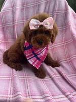 processed/1eff4ceb-d75a-4d8a-8259-3f9c28795ff1/listing/e2e3566a-58b2-484f-934d-27915443b6d1/05c1949d-868a-45a8-ada4-6f0b812aefa9