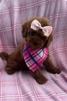 processed/1eff4ceb-d75a-4d8a-8259-3f9c28795ff1/listing/e2e3566a-58b2-484f-934d-27915443b6d1/5aad2415-f504-44d6-89f1-274cdf259aee