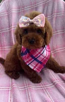 processed/1eff4ceb-d75a-4d8a-8259-3f9c28795ff1/listing/e2e3566a-58b2-484f-934d-27915443b6d1/e8970190-08fa-40fe-b708-ceeaddb8fe88