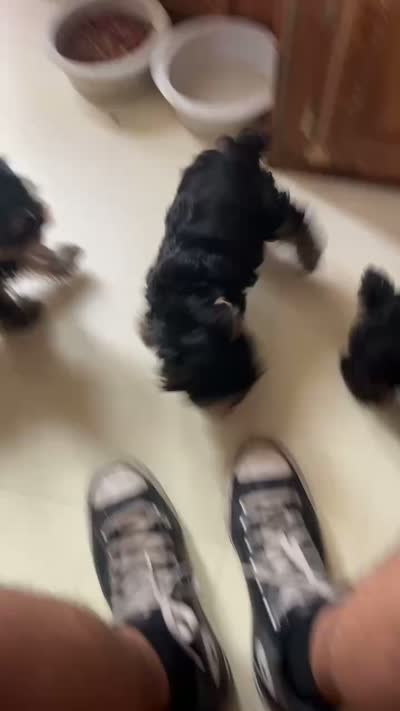 Facility video