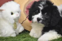 processed/1f1307c2-56e1-4b5a-beaf-ea794a0c3f3a/listing/283f7826-fb98-4a14-bd3f-d56b2a8a3d09/0b3654f3-8e5a-4342-934a-e39e09918ffe