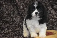 processed/1f1307c2-56e1-4b5a-beaf-ea794a0c3f3a/listing/283f7826-fb98-4a14-bd3f-d56b2a8a3d09/c515aa1d-5f1a-4966-a565-274c9703ee22