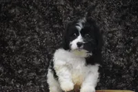 processed/1f1307c2-56e1-4b5a-beaf-ea794a0c3f3a/listing/283f7826-fb98-4a14-bd3f-d56b2a8a3d09/d54532b8-9882-4f3f-bde5-c2e737b0aa64