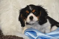 processed/1f1307c2-56e1-4b5a-beaf-ea794a0c3f3a/listing/5089da3c-fa28-4d5c-a3e3-5861e1903620/04d7d9af-e45b-4414-bed7-b609a2a6a4f5