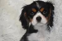 processed/1f1307c2-56e1-4b5a-beaf-ea794a0c3f3a/listing/5089da3c-fa28-4d5c-a3e3-5861e1903620/52f78cbf-a17b-4361-938c-25fb3eb59b0f