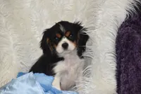 processed/1f1307c2-56e1-4b5a-beaf-ea794a0c3f3a/listing/5089da3c-fa28-4d5c-a3e3-5861e1903620/ee9a8791-f2aa-4a0a-a8df-803b33c16f5a