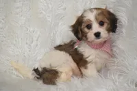 processed/1f1307c2-56e1-4b5a-beaf-ea794a0c3f3a/listing/51c57eec-6753-4ebf-aa13-f8bc1ebd5d91/80698e39-632b-4d45-94e6-9dd374ff71d5