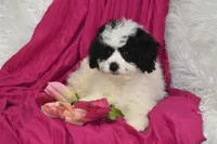 processed/1f1307c2-56e1-4b5a-beaf-ea794a0c3f3a/listing/923d8821-7927-4a79-b106-6c4ce3ba692d/2fc9c9d4-1786-48b2-8bfd-a7aba1dca6f5