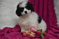 processed/1f1307c2-56e1-4b5a-beaf-ea794a0c3f3a/listing/923d8821-7927-4a79-b106-6c4ce3ba692d/cbceb89a-5b92-4e4d-9ee4-70de47814ace