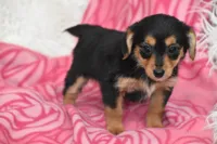 processed/1f1307c2-56e1-4b5a-beaf-ea794a0c3f3a/listing/9c7e46da-3462-46f7-896f-a84b23a5f0df/474fee0f-3cd6-4038-b1c1-4a5d9ed7ecc0