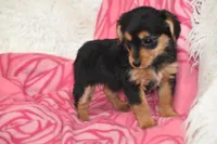 processed/1f1307c2-56e1-4b5a-beaf-ea794a0c3f3a/listing/9c7e46da-3462-46f7-896f-a84b23a5f0df/66dd3297-d434-4611-b8ad-bb91a5e82a82