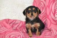 processed/1f1307c2-56e1-4b5a-beaf-ea794a0c3f3a/listing/9c7e46da-3462-46f7-896f-a84b23a5f0df/946c5c90-5dcd-4157-b05b-be870e4777e6