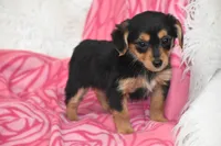 processed/1f1307c2-56e1-4b5a-beaf-ea794a0c3f3a/listing/9c7e46da-3462-46f7-896f-a84b23a5f0df/f2494653-46bb-4172-b51b-06027e6926c0