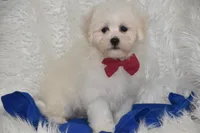 processed/1f1307c2-56e1-4b5a-beaf-ea794a0c3f3a/listing/a3938c63-45d8-4194-b82b-06511a9169b3/2762ca0f-3dec-47fb-ac86-01cd7551257d