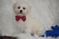 processed/1f1307c2-56e1-4b5a-beaf-ea794a0c3f3a/listing/a3938c63-45d8-4194-b82b-06511a9169b3/3b7a85cb-732a-4191-918d-636c477e4702