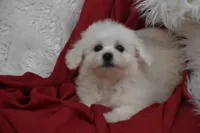 processed/1f1307c2-56e1-4b5a-beaf-ea794a0c3f3a/listing/b75cb040-10a8-4d8f-9cb1-88c16116f9a8/5a39b9a5-673c-40f9-8a76-197991d1cff0