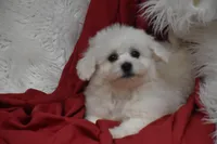 processed/1f1307c2-56e1-4b5a-beaf-ea794a0c3f3a/listing/b75cb040-10a8-4d8f-9cb1-88c16116f9a8/715fe54b-0010-4f2e-be21-01ac17b767b3