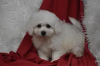 processed/1f1307c2-56e1-4b5a-beaf-ea794a0c3f3a/listing/b75cb040-10a8-4d8f-9cb1-88c16116f9a8/810028bc-ea4f-45a7-ad9a-c23e093fcc4a