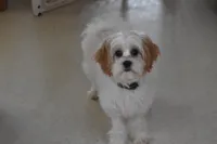 processed/1f1307c2-56e1-4b5a-beaf-ea794a0c3f3a/listing/c997bbf9-8c38-4ff8-8f46-e0a21ca52262/145a789e-a58a-4b08-995e-467fc35cfb25