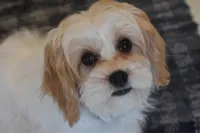 processed/1f1307c2-56e1-4b5a-beaf-ea794a0c3f3a/listing/c997bbf9-8c38-4ff8-8f46-e0a21ca52262/50b1a007-53a6-4770-a845-50aa18611097