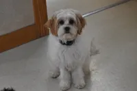 processed/1f1307c2-56e1-4b5a-beaf-ea794a0c3f3a/listing/c997bbf9-8c38-4ff8-8f46-e0a21ca52262/8b2b8987-3175-4fbd-a2ac-234e0d4b23dd