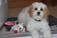 processed/1f1307c2-56e1-4b5a-beaf-ea794a0c3f3a/listing/c997bbf9-8c38-4ff8-8f46-e0a21ca52262/8d57b9da-5091-45ca-9eda-c6dfad6c5670