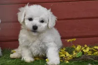 processed/1f1307c2-56e1-4b5a-beaf-ea794a0c3f3a/listing/d4f8ba4b-500b-4f7d-994d-433e17bebabd/428b3136-04ff-428e-9c6c-f08270b5c703