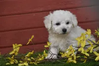 processed/1f1307c2-56e1-4b5a-beaf-ea794a0c3f3a/listing/d4f8ba4b-500b-4f7d-994d-433e17bebabd/d529fea0-4227-49d9-9c4b-b08d49bd4dd1