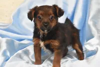 processed/1f1307c2-56e1-4b5a-beaf-ea794a0c3f3a/listing/ec72da74-1cee-441c-bc04-d866f6b452dd/5f9d9649-56f6-475c-b5aa-60f1a805231c