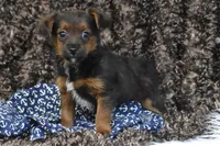 processed/1f1307c2-56e1-4b5a-beaf-ea794a0c3f3a/listing/ec72da74-1cee-441c-bc04-d866f6b452dd/ae37b52b-7a89-420a-9d24-4538ee6476cb