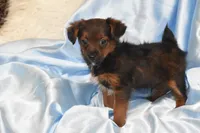 processed/1f1307c2-56e1-4b5a-beaf-ea794a0c3f3a/listing/ec72da74-1cee-441c-bc04-d866f6b452dd/dea67cd3-7042-4d1e-8439-2e732fb8db22