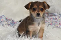 processed/1f1307c2-56e1-4b5a-beaf-ea794a0c3f3a/listing/ece07757-4e72-49fe-ade9-005719c843e5/326bdc44-85ee-48b3-934e-d6acd7b2ea71