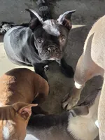 processed/1f198377-72af-4315-9d0e-6d9468024873/listing/46aee393-695a-4352-8b56-471717128ee3/121ab266-90c8-4502-90d8-35788816144f