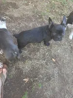 processed/1f198377-72af-4315-9d0e-6d9468024873/listing/46aee393-695a-4352-8b56-471717128ee3/30b42f4e-349e-4d31-8fcb-fc15096f0966