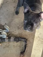 processed/1f198377-72af-4315-9d0e-6d9468024873/listing/46aee393-695a-4352-8b56-471717128ee3/5630abde-053f-428f-8fba-dd96fcc9d27d